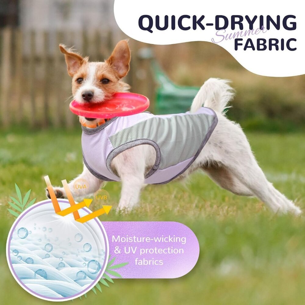 Comfortable Dog Cooling Vest with D-Ring - Stylish & Breathable for Small Breeds - Picture 7 of 7